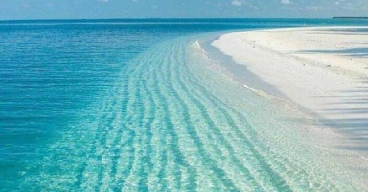 atol turizm