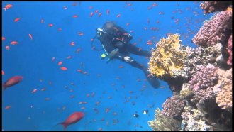 Sharm El Sheikh Turları