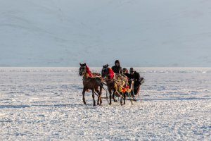 Kars Turu